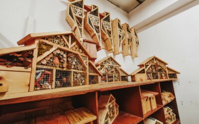 CATALOGUE PREST&rsquo;EA 2025